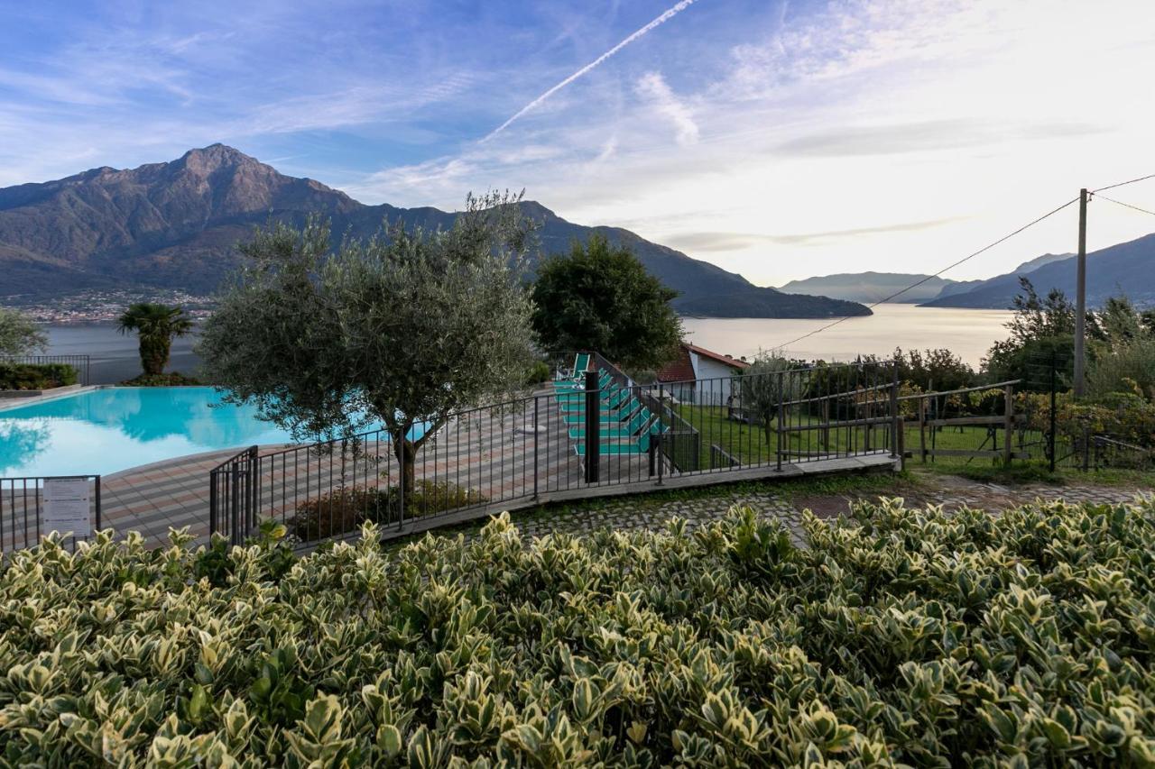 La Collina Degli Ulivi Leilighet Vercana Eksteriør bilde